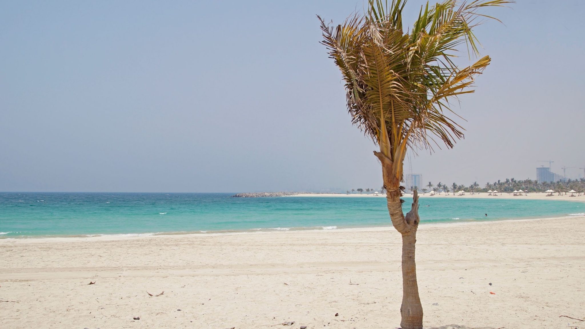 Top 10 Best Camping Spots in UAE 2023 Edition