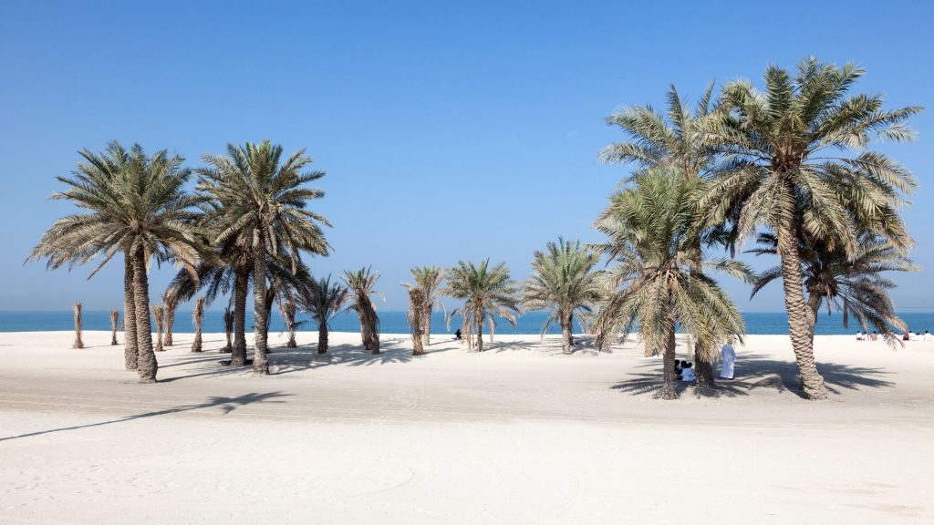 Top 10 Best Camping Spots in UAE 2022 Edition