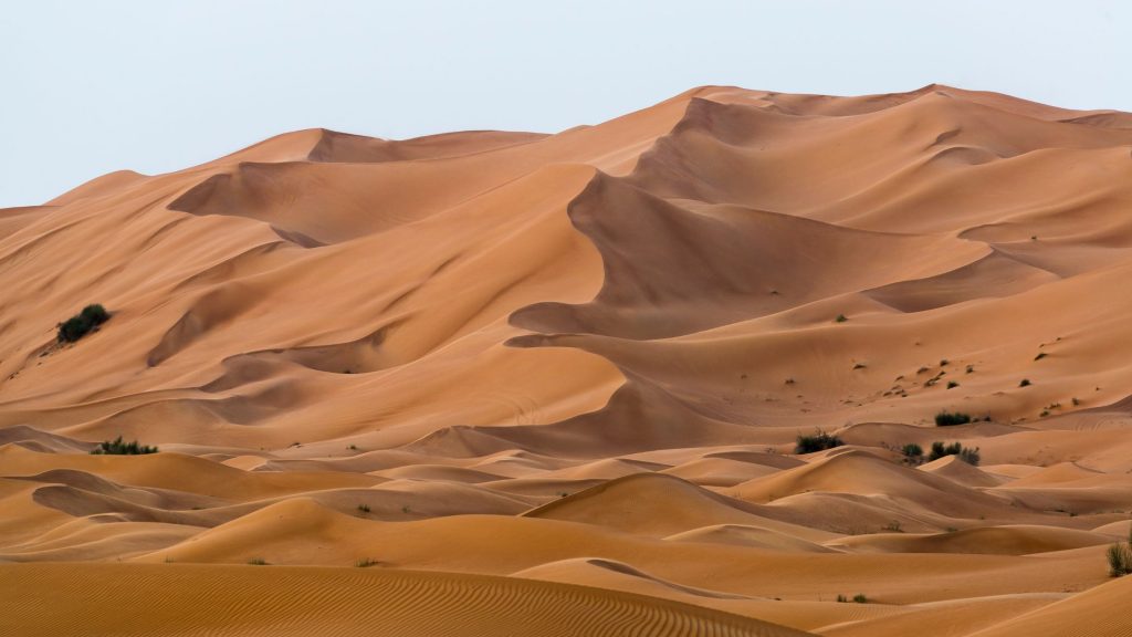 Dubai Deserts