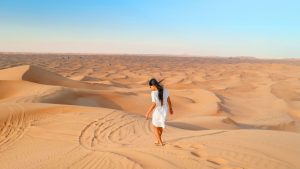 top things to do in dubai