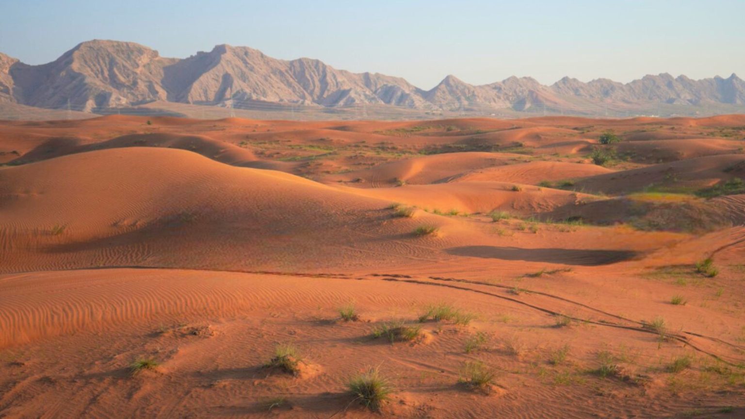 Exploring the Mystical Mleiha Desert in Sharjah
